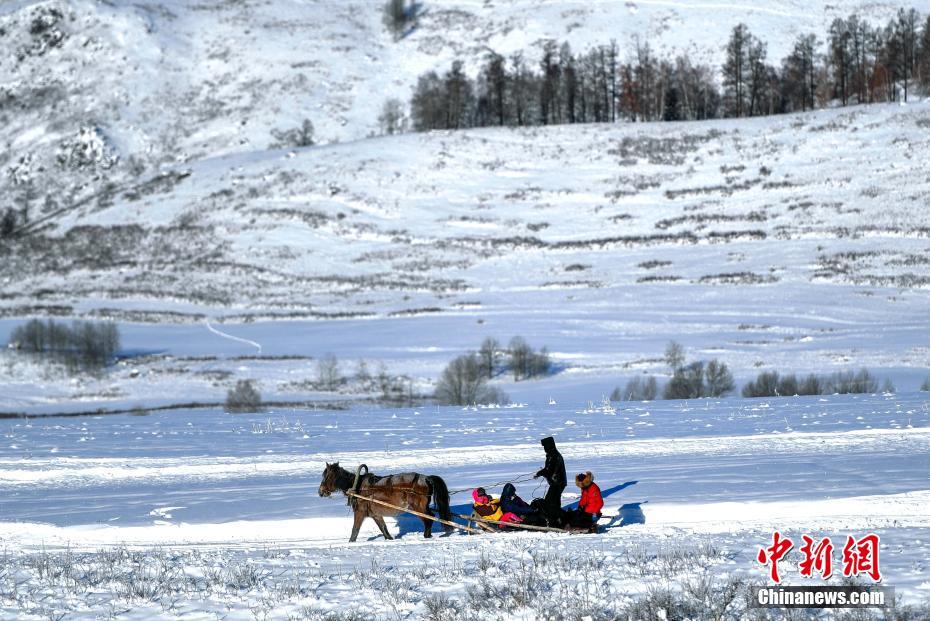 Horse drawn sleds seen in NW China’s Xinjiang