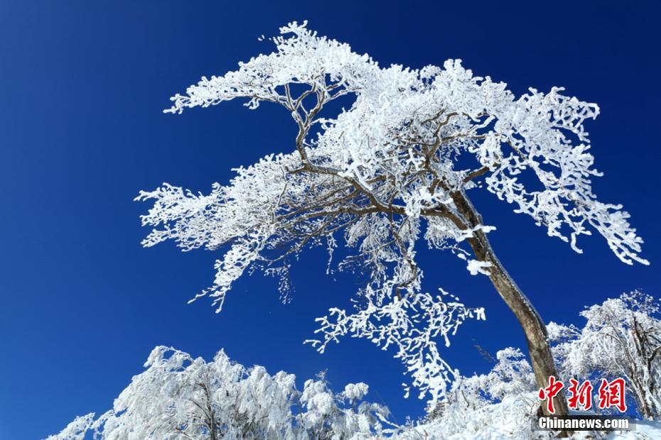 Scenery of snow-covered Guangwu Mountain in SW China’s Sichuan Province