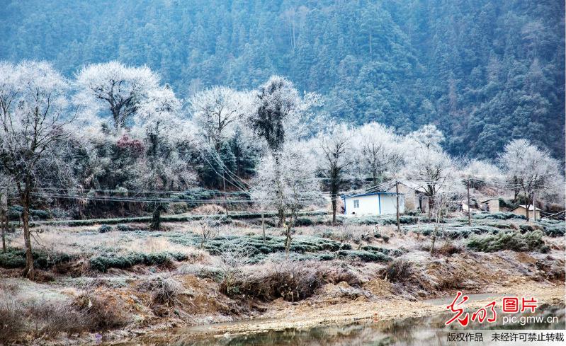 Picturesque rime scenery in E China’s Anhui Province