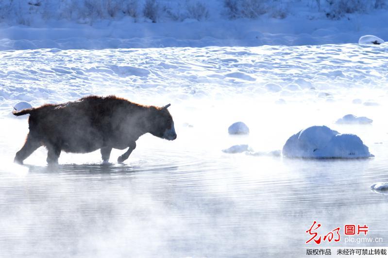 Stunning scenery of A’er Mountain in N China