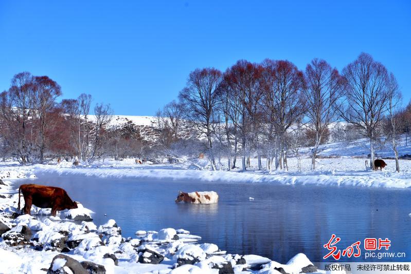 Stunning scenery of A’er Mountain in N China