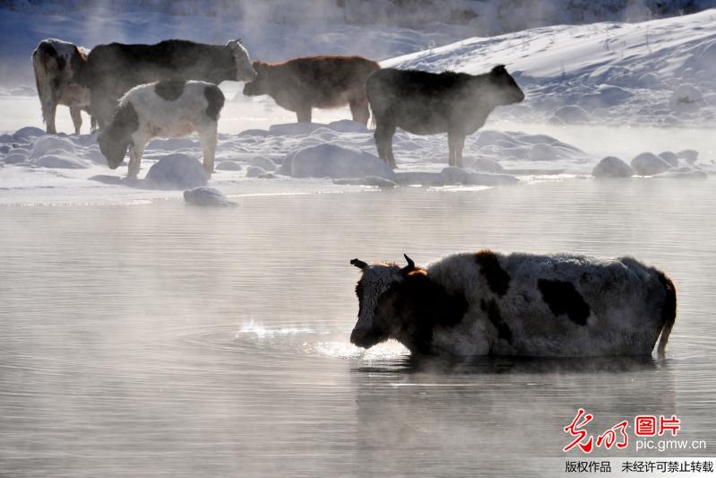 Stunning scenery of A’er Mountain in N China