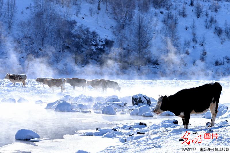 Stunning scenery of A’er Mountain in N China