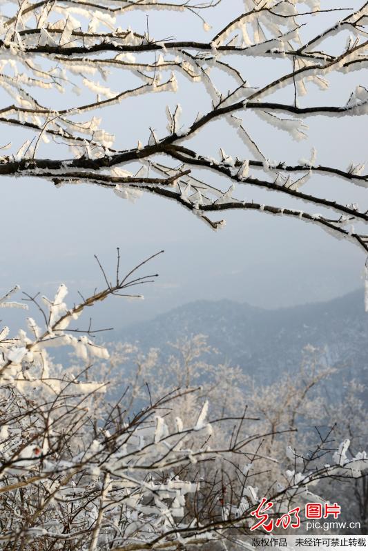 Rime scenery in E China’s Nanjing