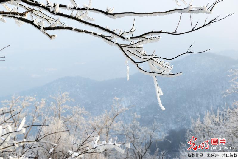 Rime scenery in E China’s Nanjing