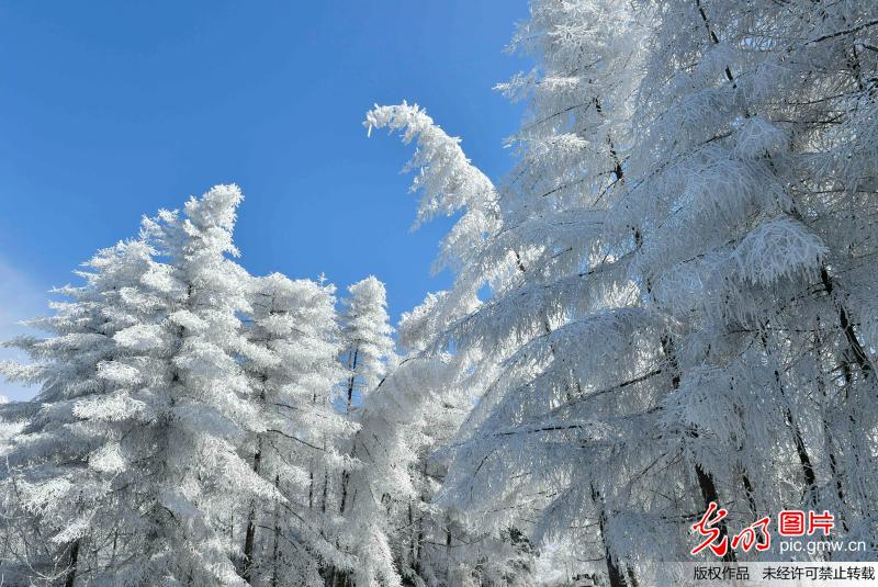 Picturesque snow scenery in C China’s Hubei