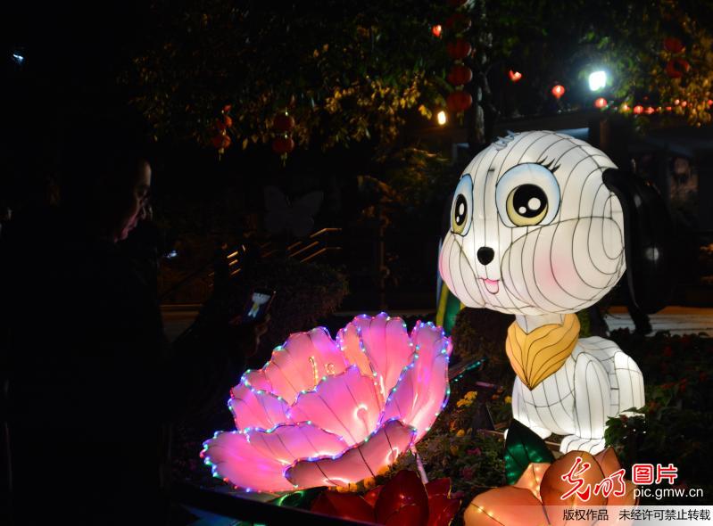 Scenery of lantern show in SE China’s Guangzhou