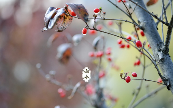 【有礼有节】雨水：雪消门外千山绿，花发江边二月晴