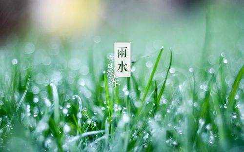 【有礼有节】雨水：雪消门外千山绿，花发江边二月晴