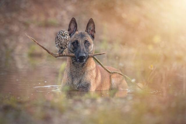 So moved. Friendship beyond species