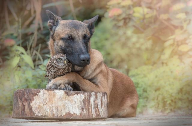 So moved. Friendship beyond species