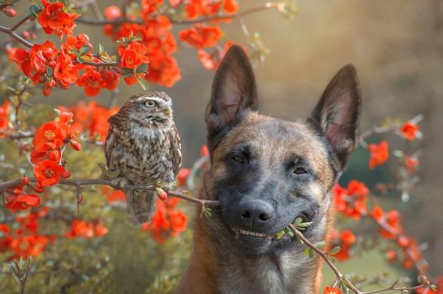 So moved. Friendship beyond species