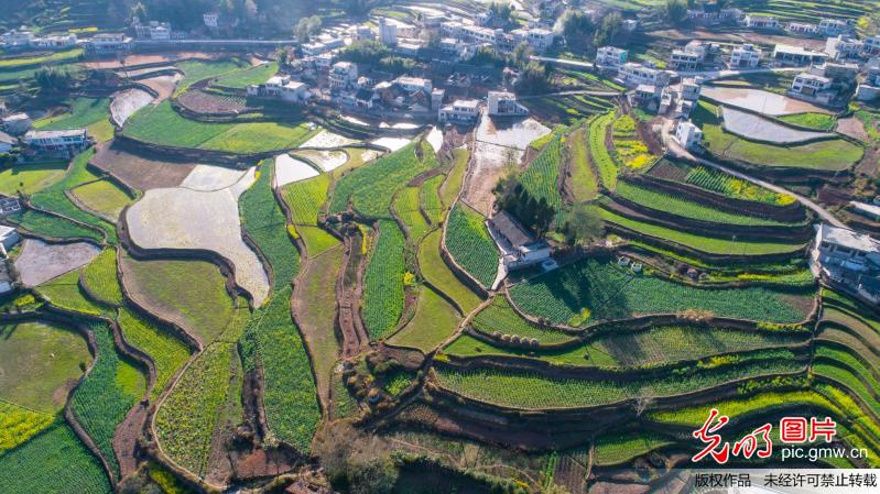 Spring scenery at village in C China