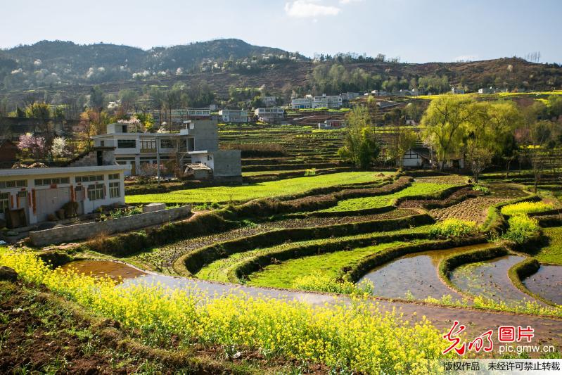 Spring scenery at village in C China