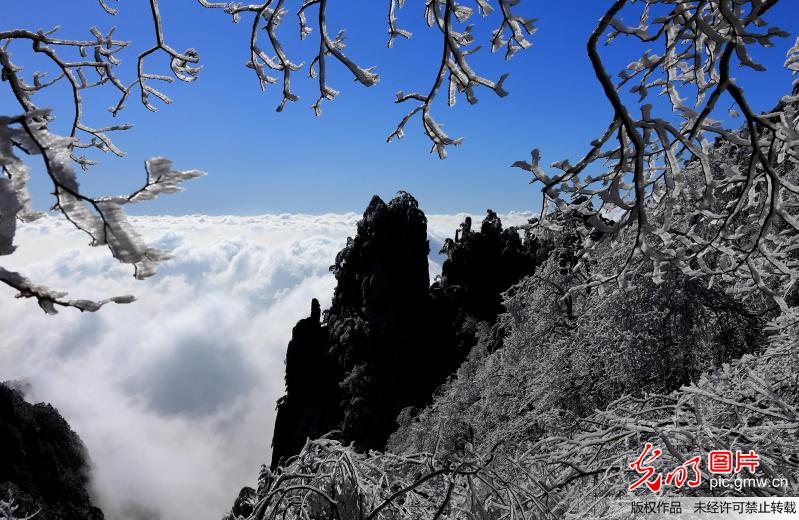 Scenery of sea of clouds seen at Huangshan Mountain, E China