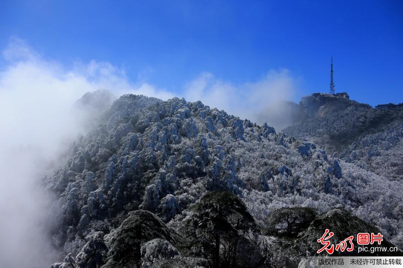 Scenery of sea of clouds seen at Huangshan Mountain, E China