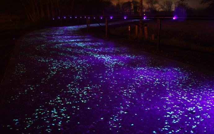 Beautiful luminous bicycle path in Poland.