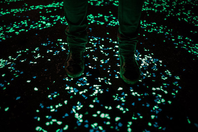 Beautiful luminous bicycle path in Poland.