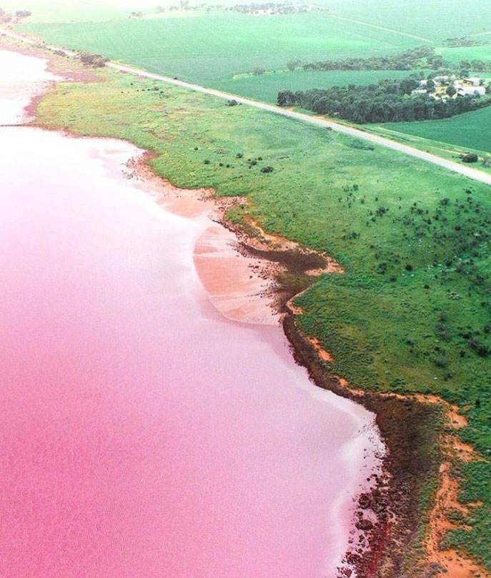 Lake Bumbunga in South Australia.