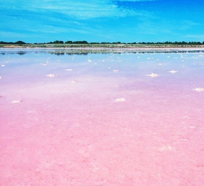 Lake Bumbunga in South Australia.