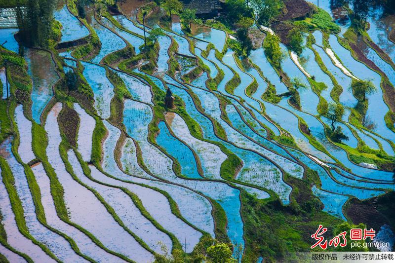 Aerial view of terraced fields in SW China’s Sichuan