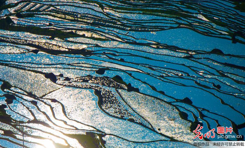 Aerial view of terraced fields in SW China’s Sichuan