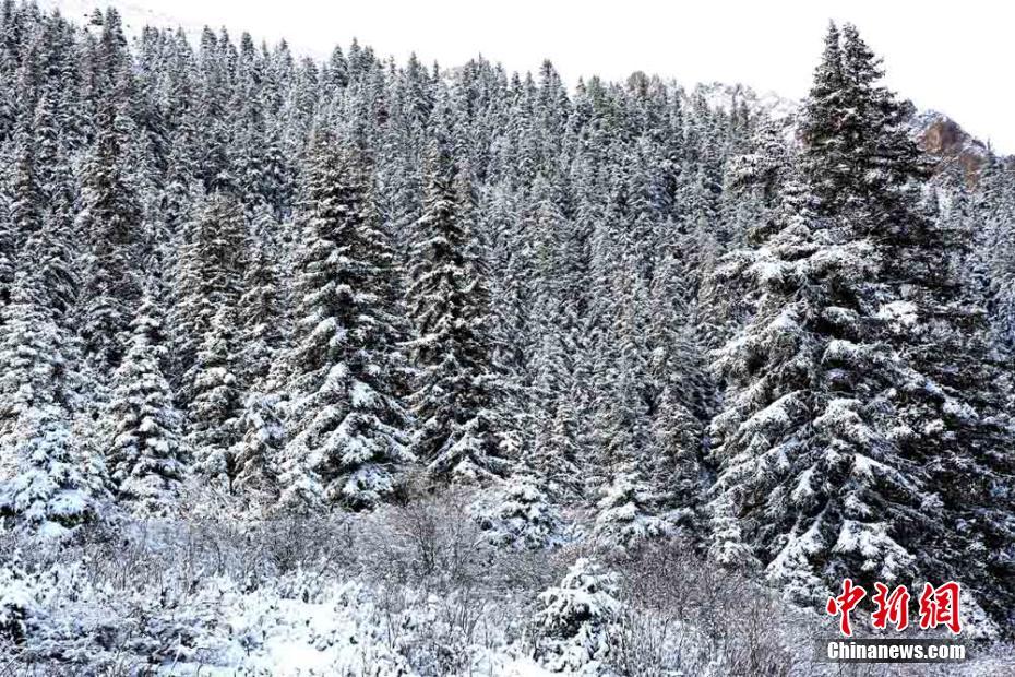 NW China’s Gansu embraces snowfall in April