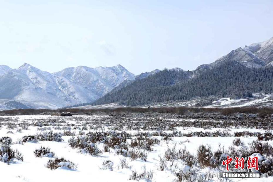 NW China’s Gansu embraces snowfall in April