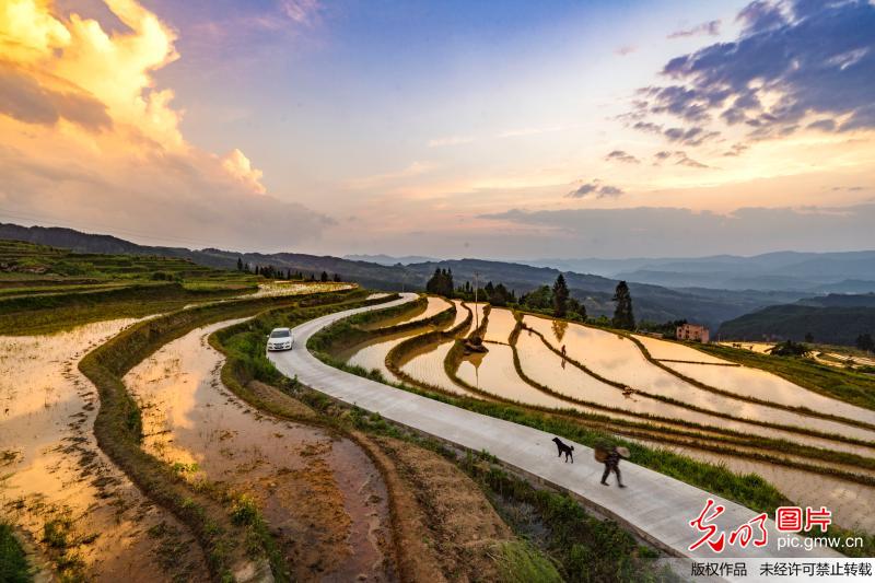 Picturesque scenery of terraced fields in SW China’s Chongqing