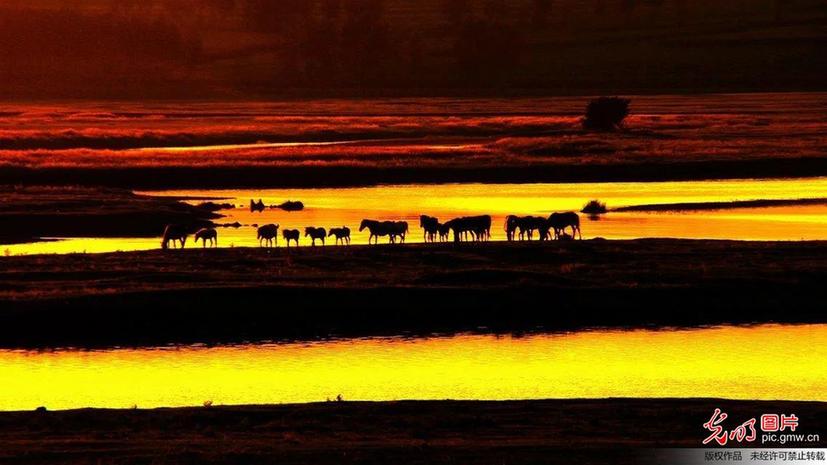 Scenery of Hulunbeier Grassland in N China