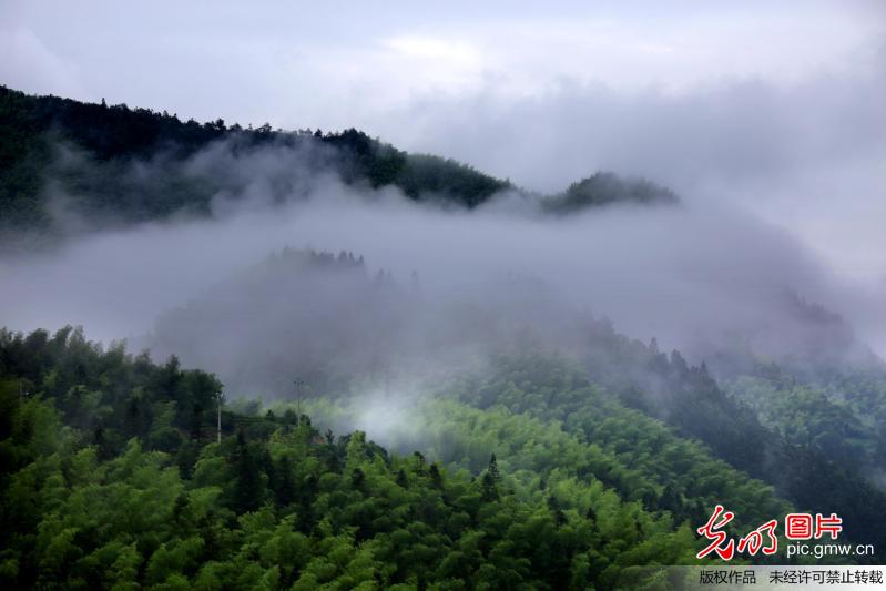 Amazing scenery of fairyland-like Tachuan in E China’s Anhui