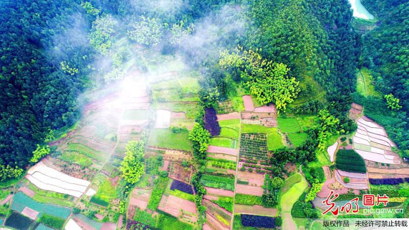 Aerial view of fog-enveloped Xianju National Park in E China’s Zhejiang