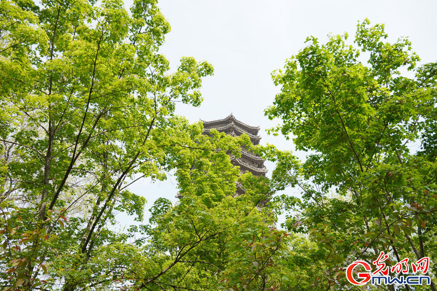 Spring scenery at Peking University in Beijing