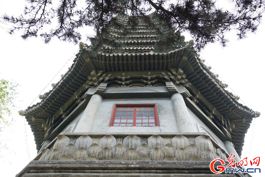 Spring scenery at Peking University in Beijing