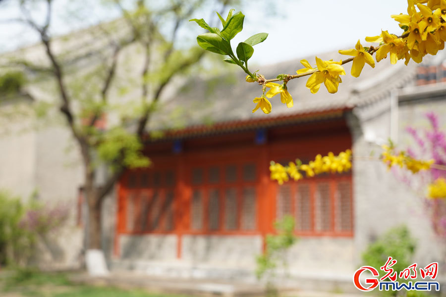 Spring scenery at Peking University in Beijing