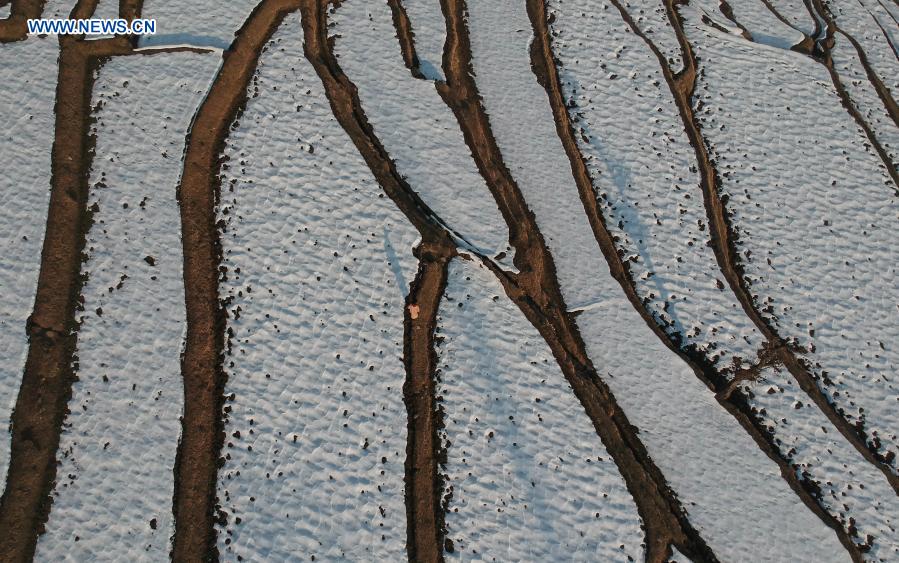 View of snow-covered fields at village in Anantnag