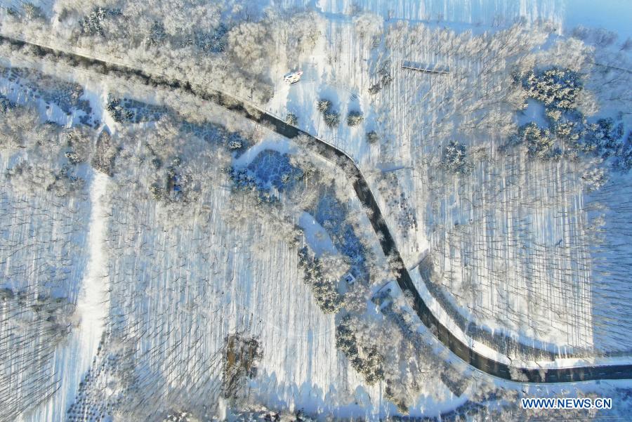 Rime scenery along Hunhe River in NE China