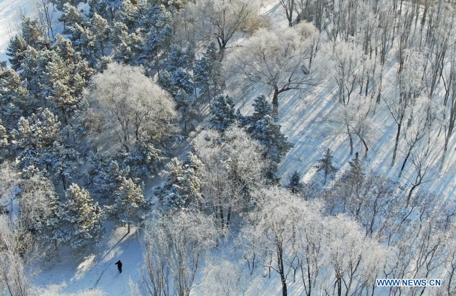 Rime scenery along Hunhe River in NE China