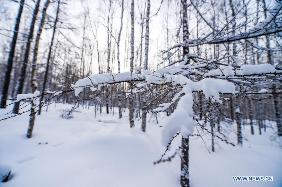 Snow scenery across China