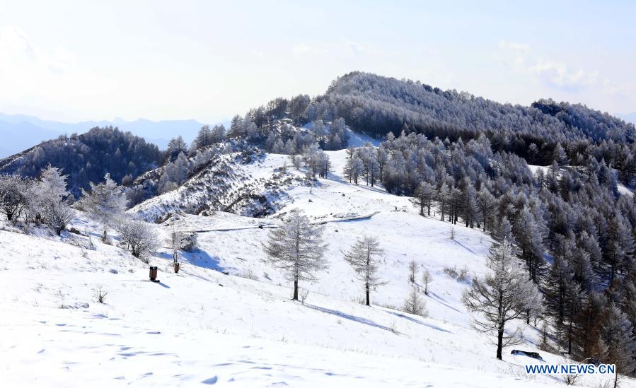 In pics: scenery of Tuoliang scenic area in north China's Hebei