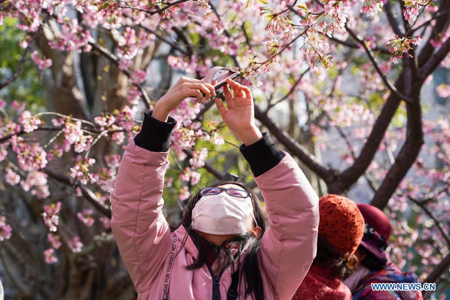 Spring scenery across China