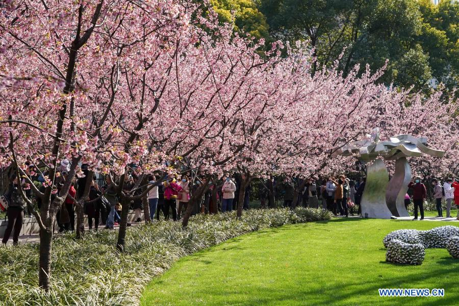 Spring scenery across China