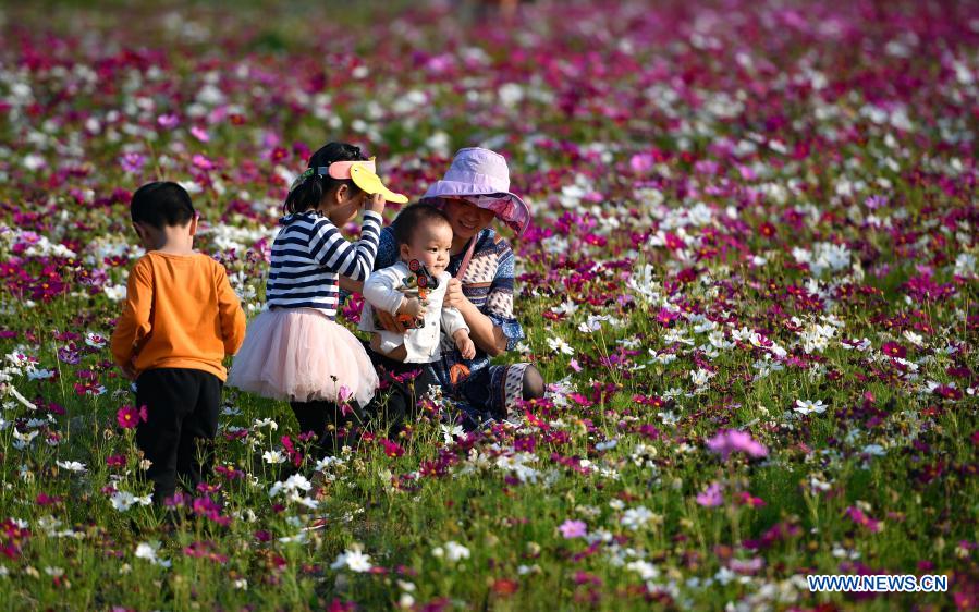 People take photos amid blooming flowers in Haikou, south China's Hainan