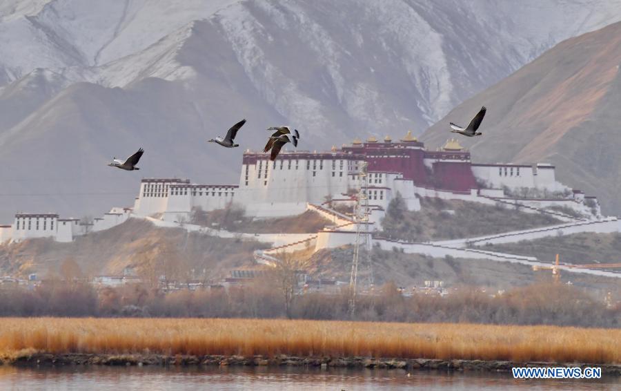 Scenery of beautiful landscapes across China