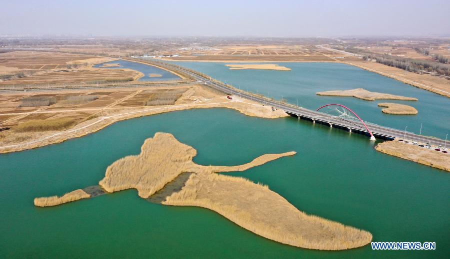 View of Ningxia section of Yellow River