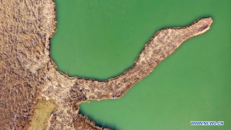 View of Ningxia section of Yellow River