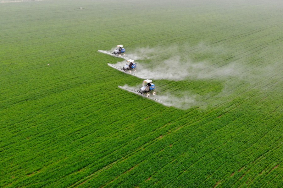 China's spring farming goes high-tech to ensure food security