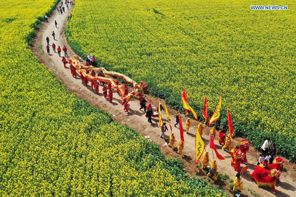 People enjoy view of cole flowers in Henan