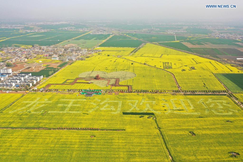 People enjoy view of cole flowers in Henan