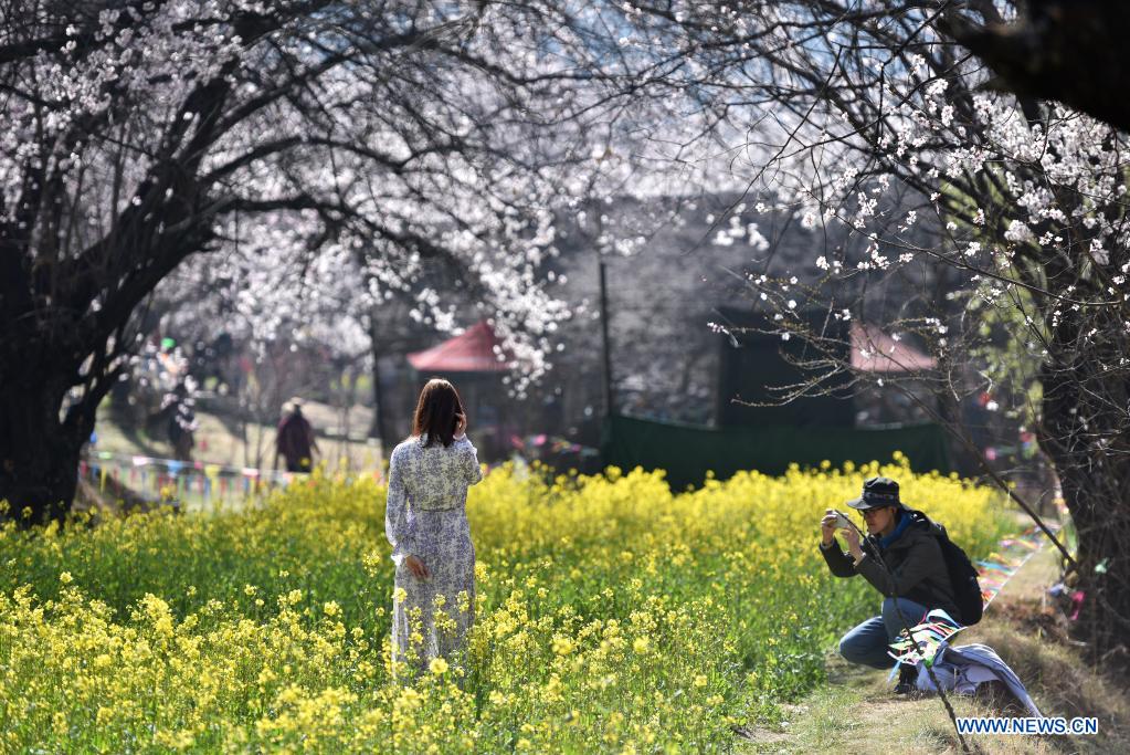 Spring scenery across China